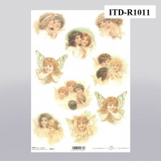 ITD-R1011
