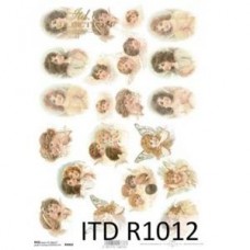ITD-R1012
