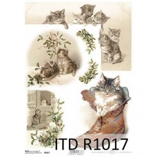 ITD-R1017