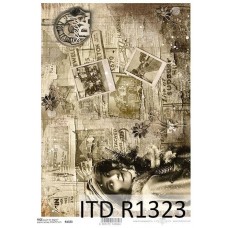 ITD-R1323