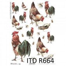 ITD-R664