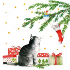 Cica karácsonyfa alatt