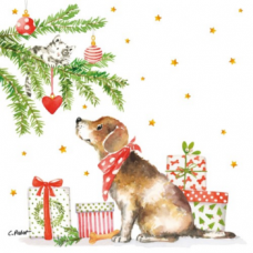 Kutya a karácsonyfa alatt