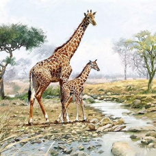 Giraffes papírszalvéta