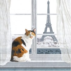 Cica Párizsban