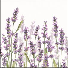 Lavender Shade White papírszalvéta 33x33cm