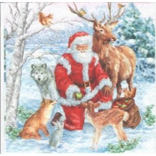 Santa & Animals