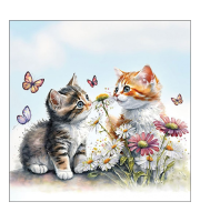 Kittens in flower field papírszalvéta 33x33cm